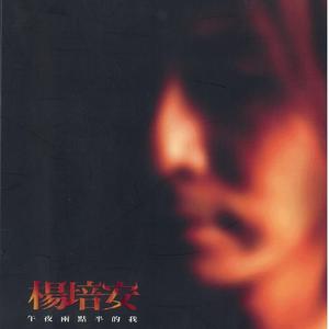 张柏芝肏逼视频导航
