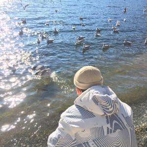 张柏芝肏逼视频导航
