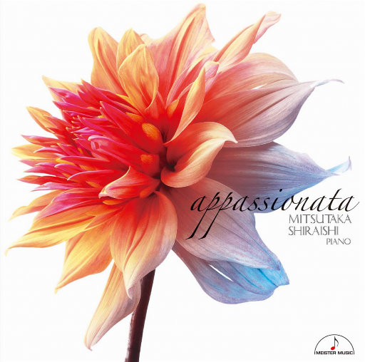 张柏芝肏逼视频导航
